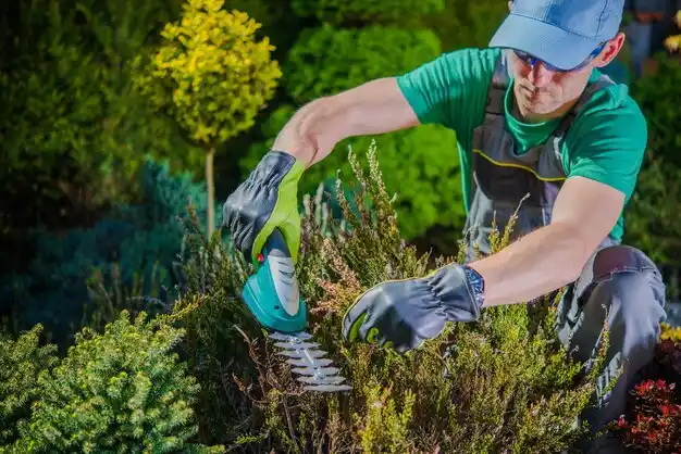 landscaping services Suffern
